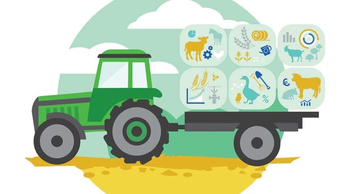Ερευνα της ΕΛΣΤΑΤ και στην Γαύδο για τις γεωργικές και κτηνοτροφικές εκμεταλλεύσεις